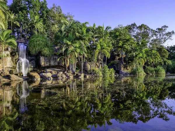 AU QLD MS Rockhampton image