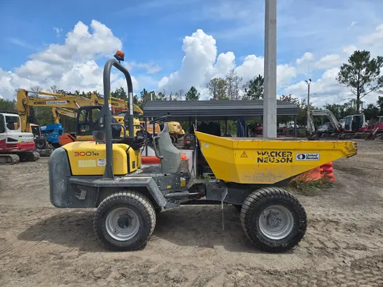 2021 Wacker Neuson 3001
