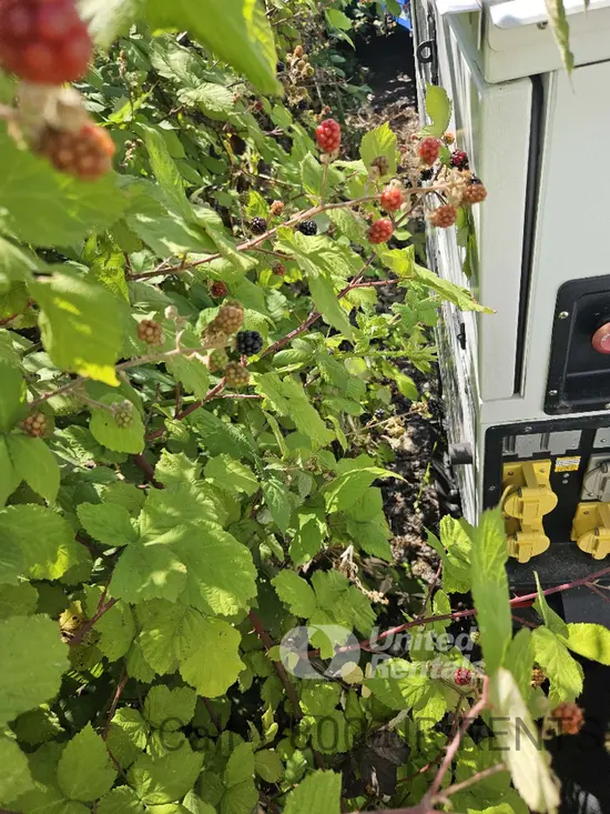 2022 Generac MMG45IF4CAN6 Diesel Generator