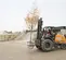 Side view of an orange CASE forklift lifting a tree in a pot. An operator is driving it outdoors on gravel on a worksite.