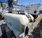 2017 Wacker Neuson LTW8K Portable Light Tower
