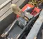 2016 Columbus McKinnon POWERSTAR ECH10 Hoist