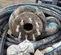 2014 Hydra-Tech SP04DT\S4THLDI Pump