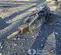 2023 Toro DINGO BREAKER Attachment