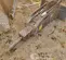 2022 Toro 23136 Attachment