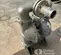 2022 VERSAMATIC 3" STAINLESS Pump
