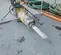 2016 Atlas Copco SB 452 Attachment