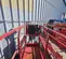 2019 MEC MICRO 19 Scissor Lift