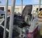 2021 Takeuchi TB230 Mini Excavator