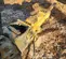2021 Epiroc SB 452 Attachment