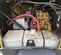 2022 Allmand MP15XR Diesel Generator