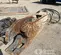 2022 Astec Industries SH180R Attachment