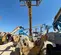2018 JCB 510-56 Forklift