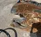 2022 Astec Industries SH180R Attachment
