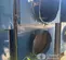 2017 Frost Fighter IHS-700DSL Indirect Fired Heater