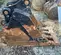 2021 FELCO 234602 Attachment