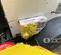 2022 Generac MLT4200IVF4 Portable Light Tower