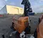 2020 Generac MLT6SKDS Portable Light Tower