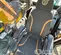 2020 Case CX300D Excavator