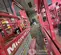 2019 MEC MICRO 19 Scissor Lift