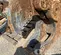 2022 Astec Industries SH180R Attachment