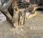 2021 Epiroc EC 155T Attachment