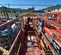 2019 Skyjack SJIII3219 Scissor Lift