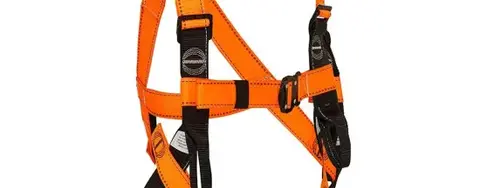 Essential Safety Harness