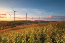 Environment Hero image - windmills