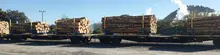  Shipping containers loaded with stacked wood logs, prepared and secured for shipment at a freight yard.