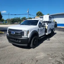 2019 Ford F550REGXLD4WD